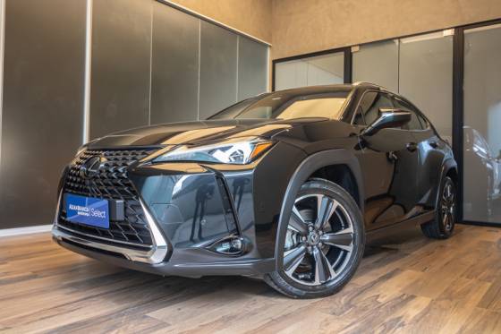 LEXUS UX 250h 2.0 VVT-I HYBRID LUXURY CVT